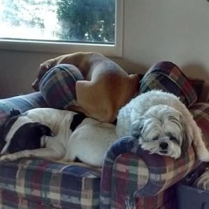 Meet your Posher, Samantha